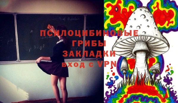 МДПВ Вязьма