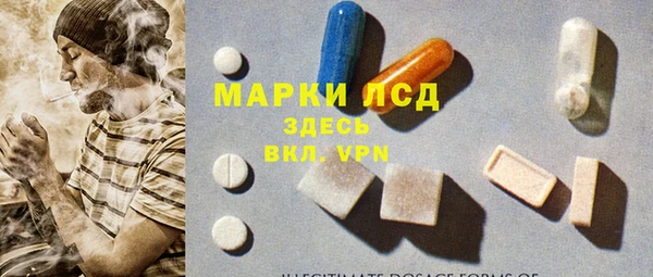 мдпв Вяземский