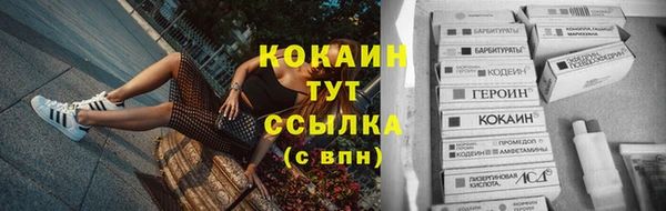 мдпв Вяземский